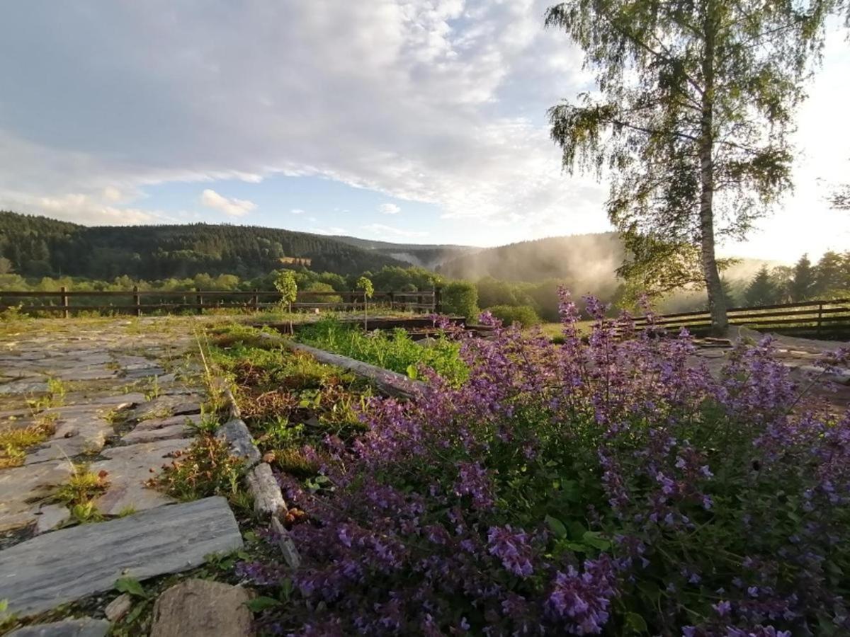 Chata Nad Dzika Orlica Z Jacuzzi Poniatow Buitenkant foto