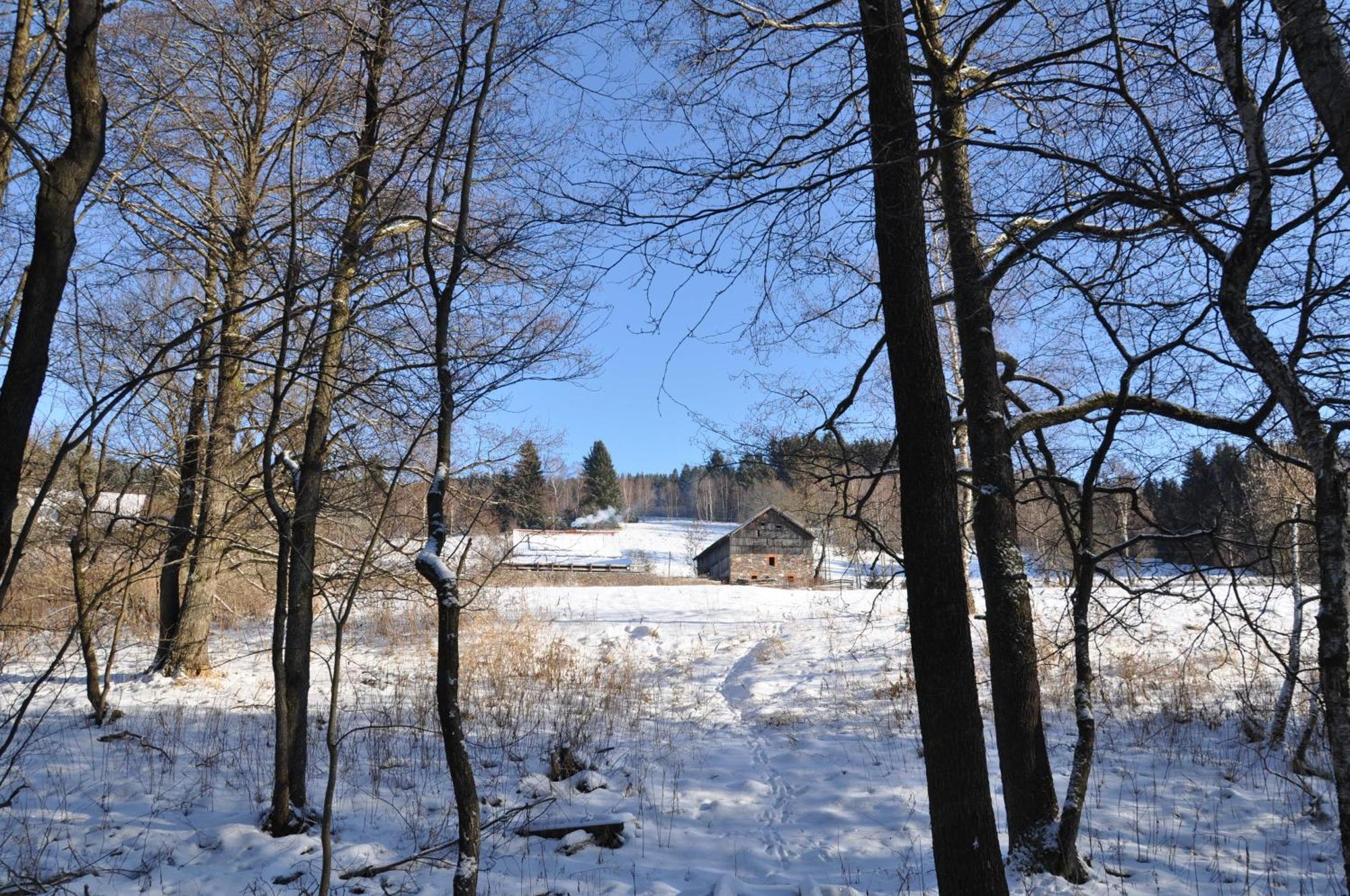 Chata Nad Dzika Orlica Z Jacuzzi Poniatow Buitenkant foto